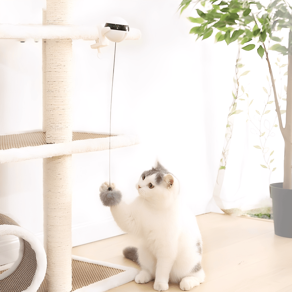 Purrlift - Katten Speelgoed Interactief Op Batterijen - Mivero