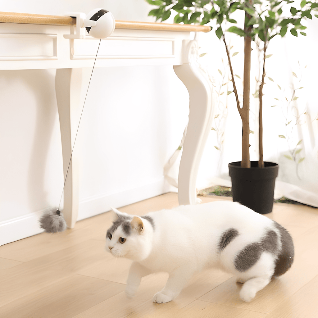 Purrlift - Katten Speelgoed Interactief Op Batterijen - Mivero