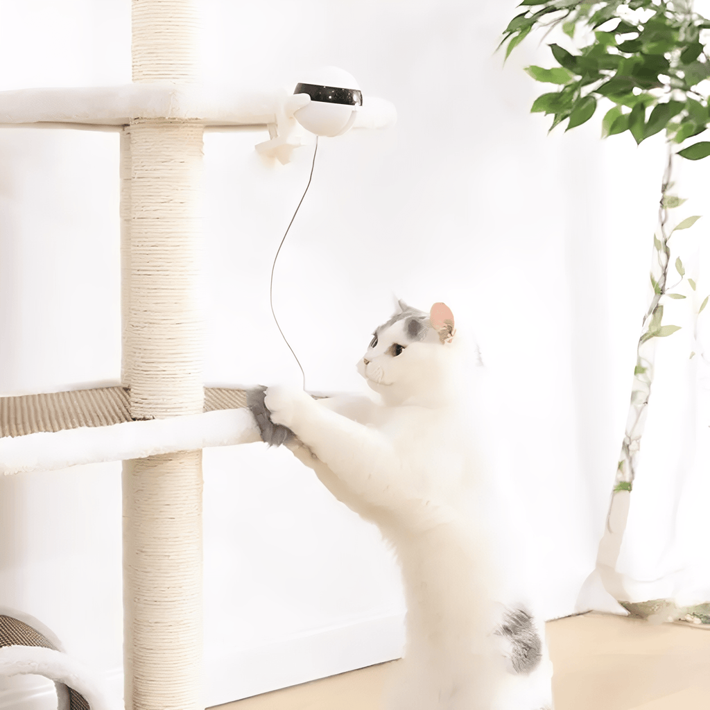 Purrlift - Katten Speelgoed Interactief Op Batterijen - Mivero