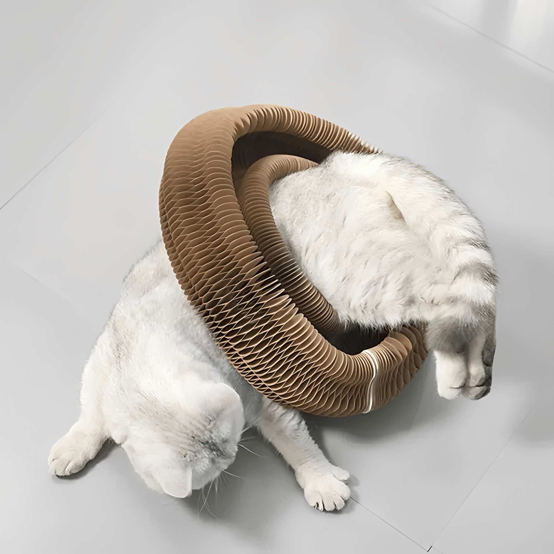 PurrPlex - Katten Krabkarton met Balbaan - Mivero