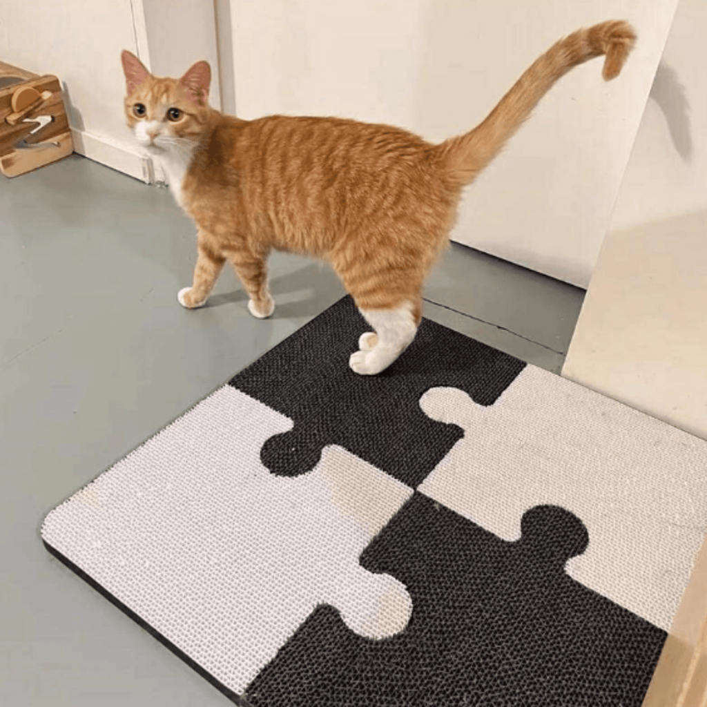 Puzzkrab - Kartonnen Interactieve Krabmat - Mivero