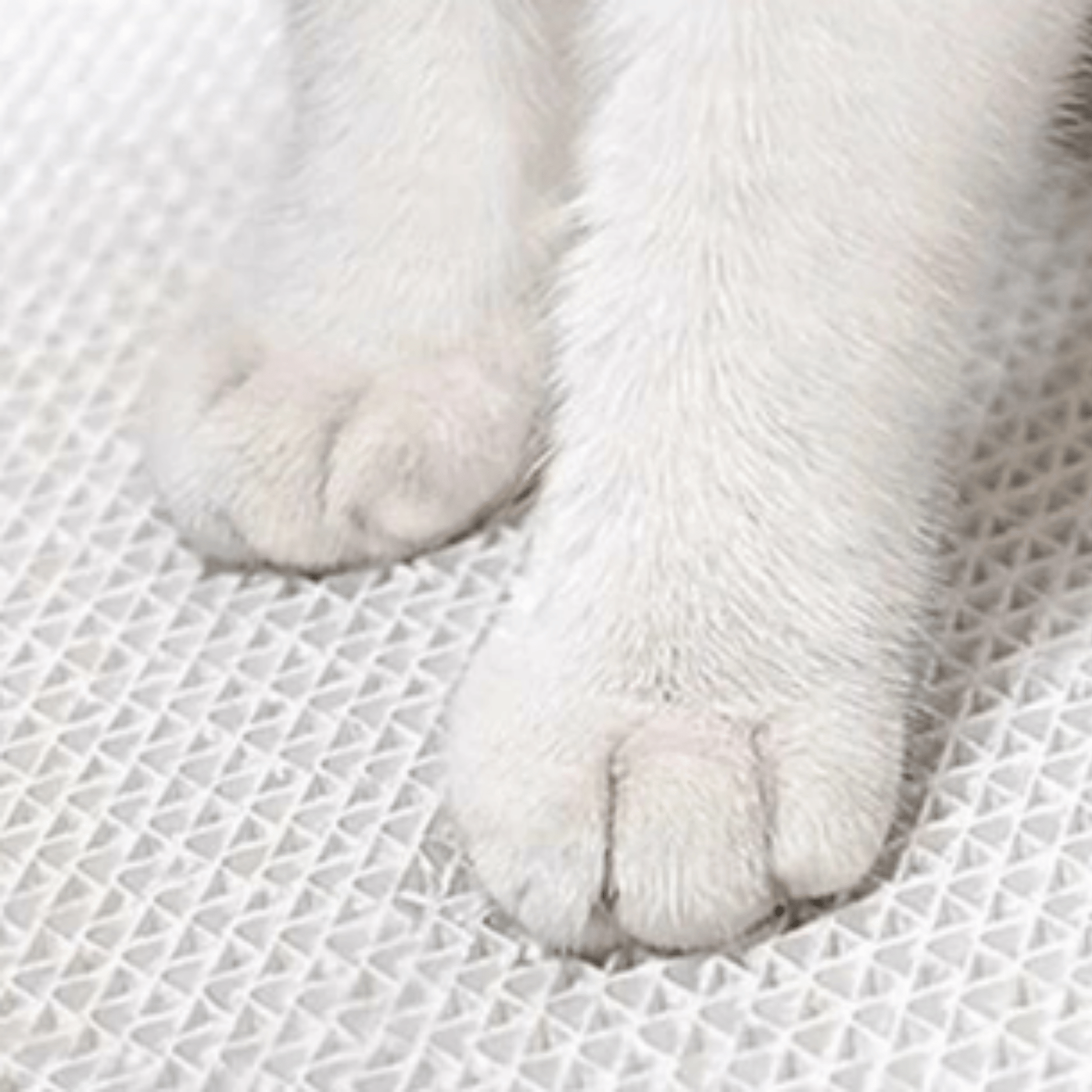 Puzzkrab - Kartonnen Interactieve Krabmat - Mivero