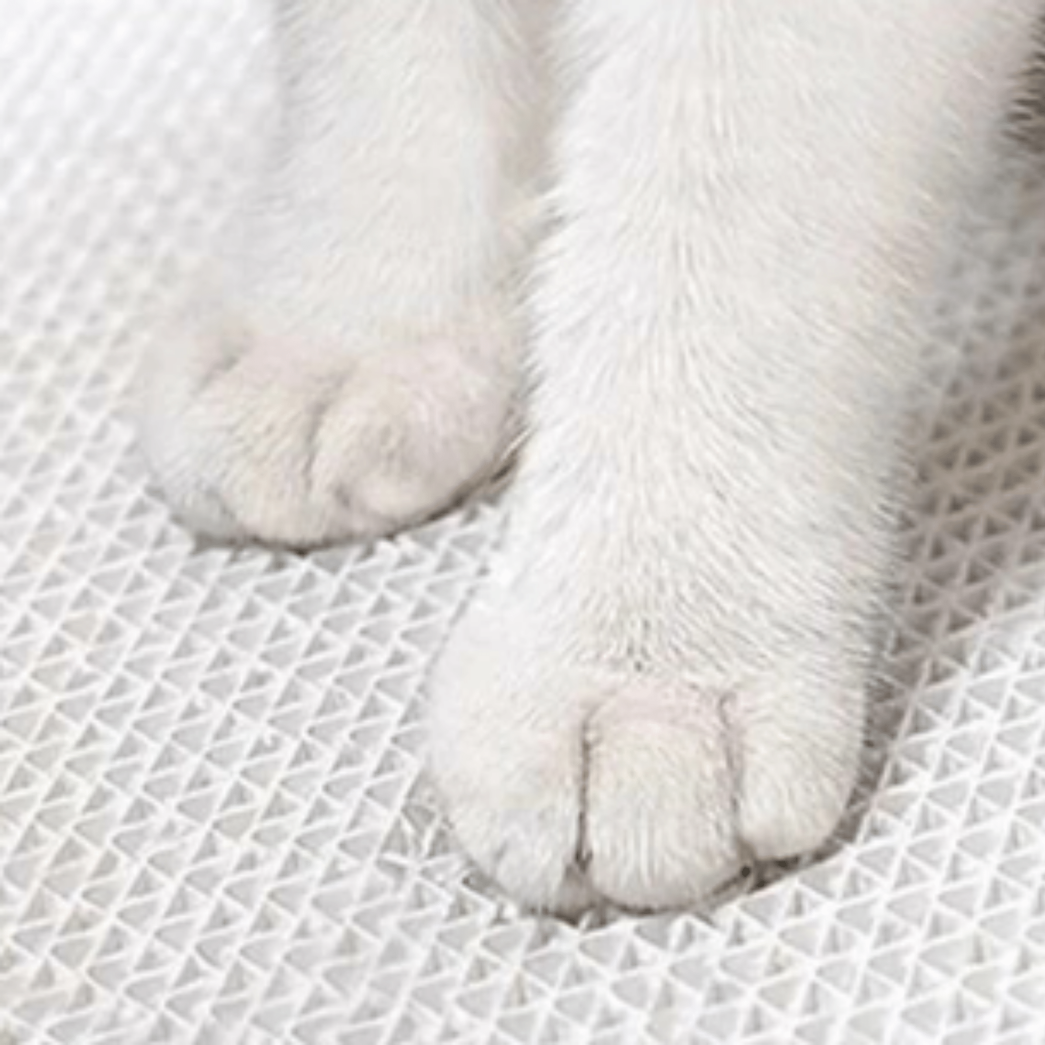 Puzzkrab - Kartonnen Interactieve Krabmat - Mivero