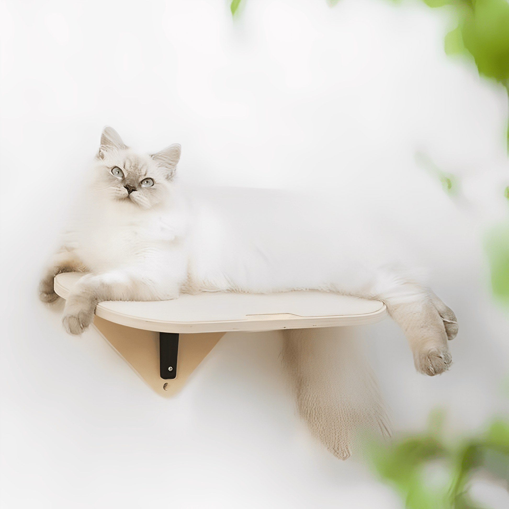 Raamnest - Katten Raamzitje met Zuignappen - Mivero