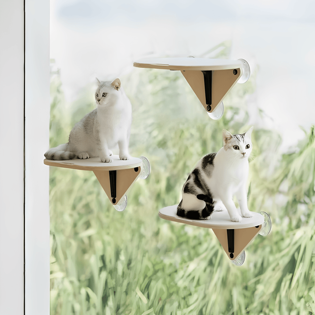 Raamnest - Katten Raamzitje met Zuignappen - Mivero