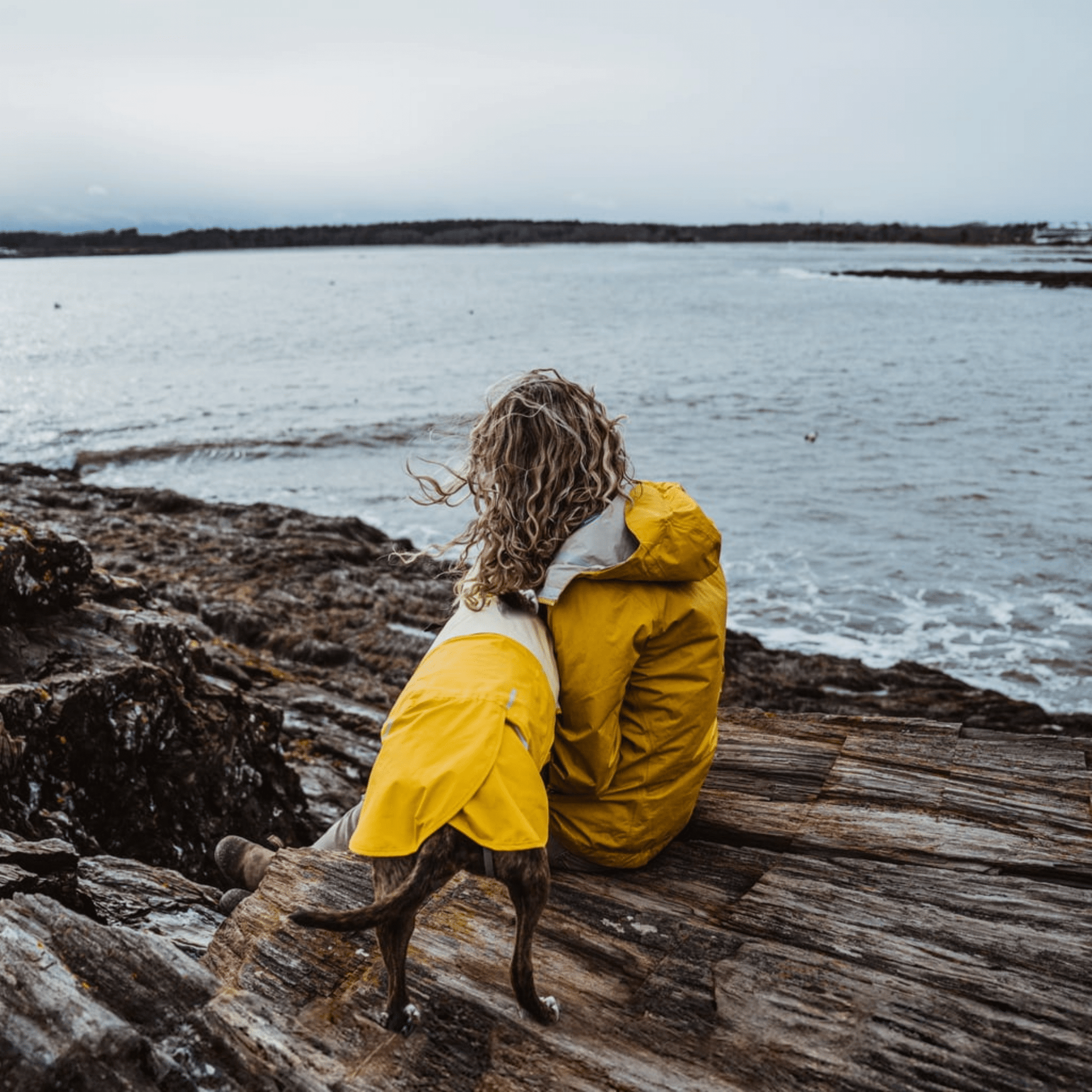 Rainmate - Waterdichte Reflecterende Hondenregenjas - Mivero