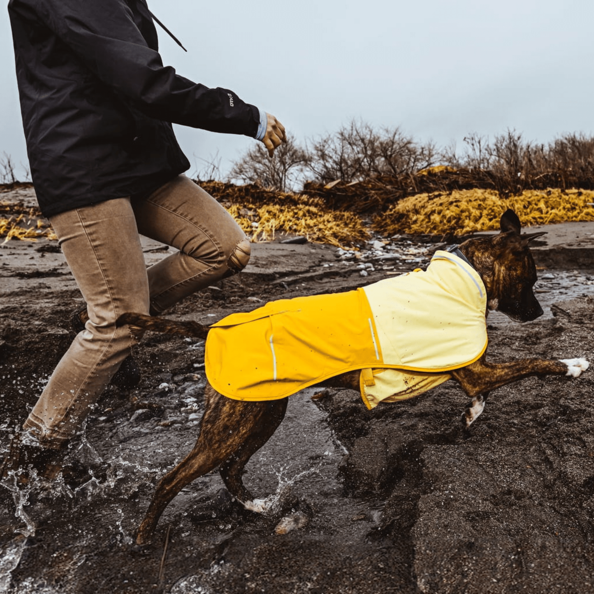 Rainmate - Waterdichte Reflecterende Hondenregenjas - Mivero