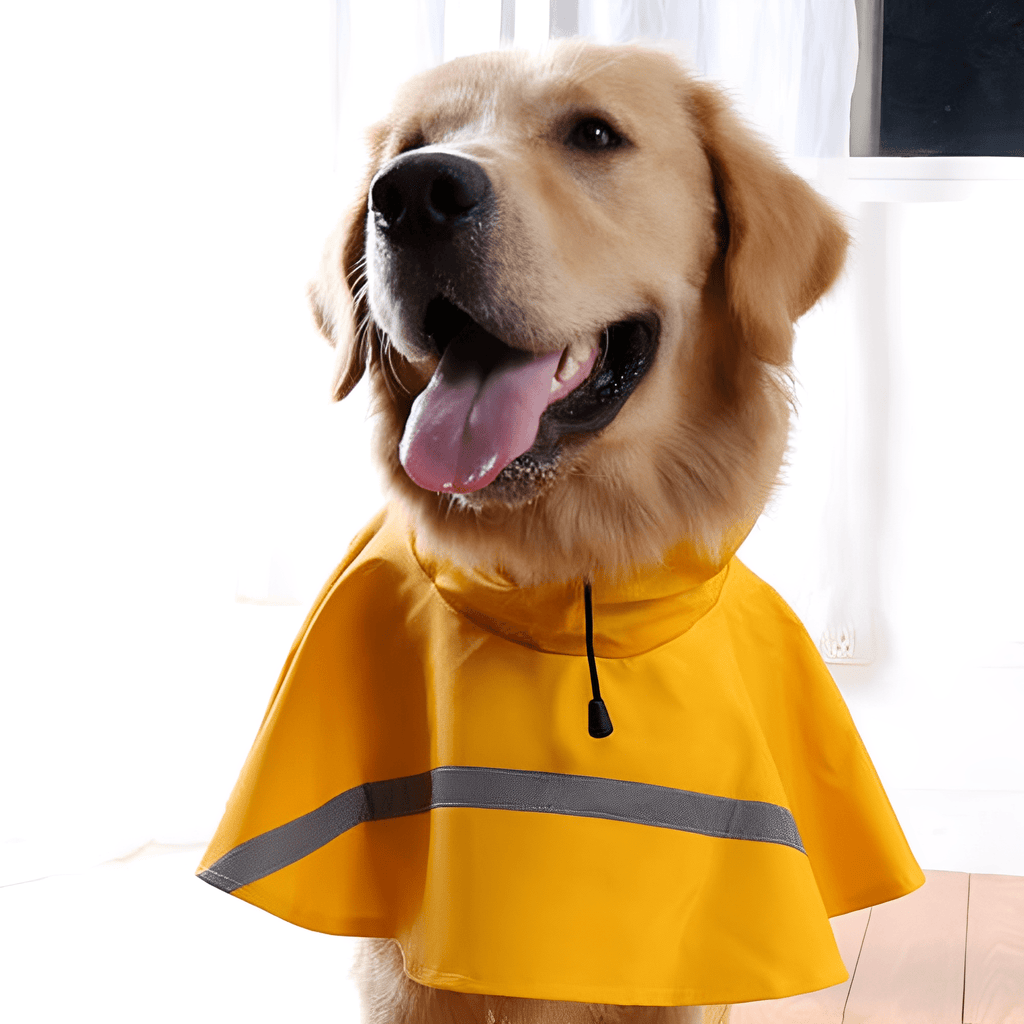 RainPaw - Waterdichte Harnas Regenjas - Mivero