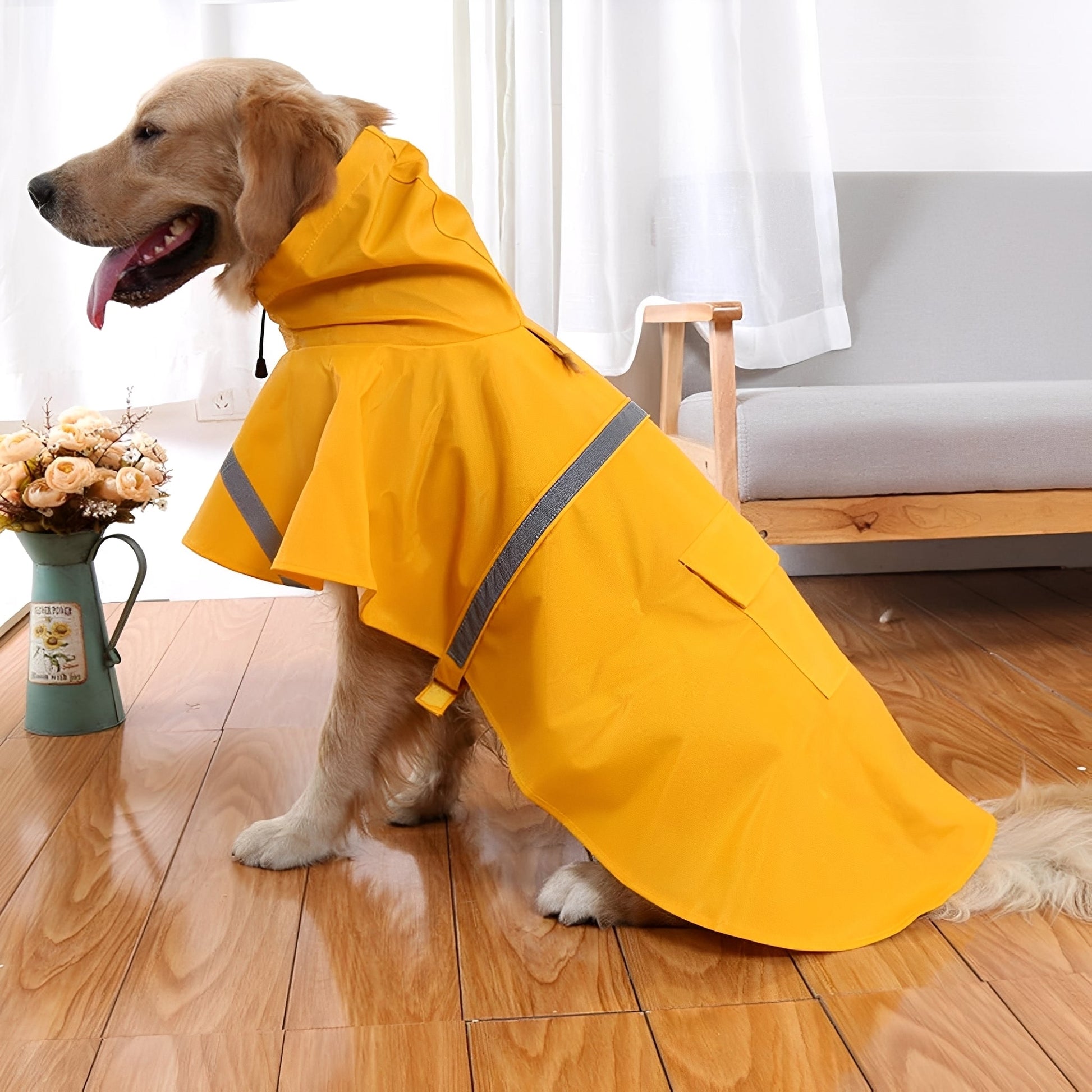 RainPaw - Waterdichte Harnas Regenjas - Mivero