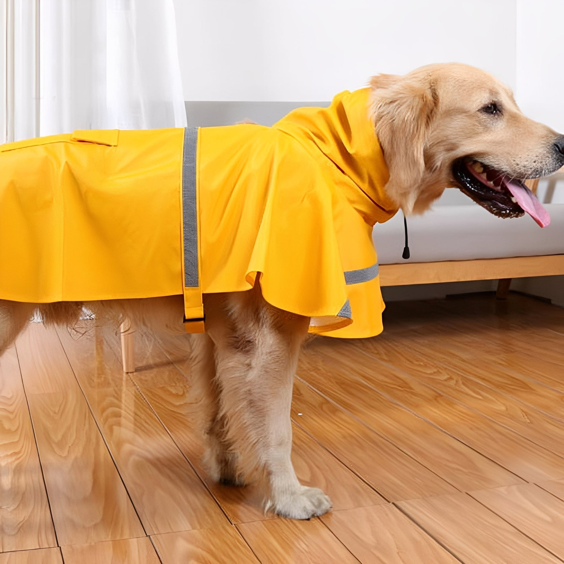 RainPaw - Waterdichte Harnas Regenjas - Mivero