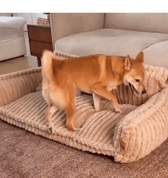 FluffEase - Orthopedische Sofa Hondenmand