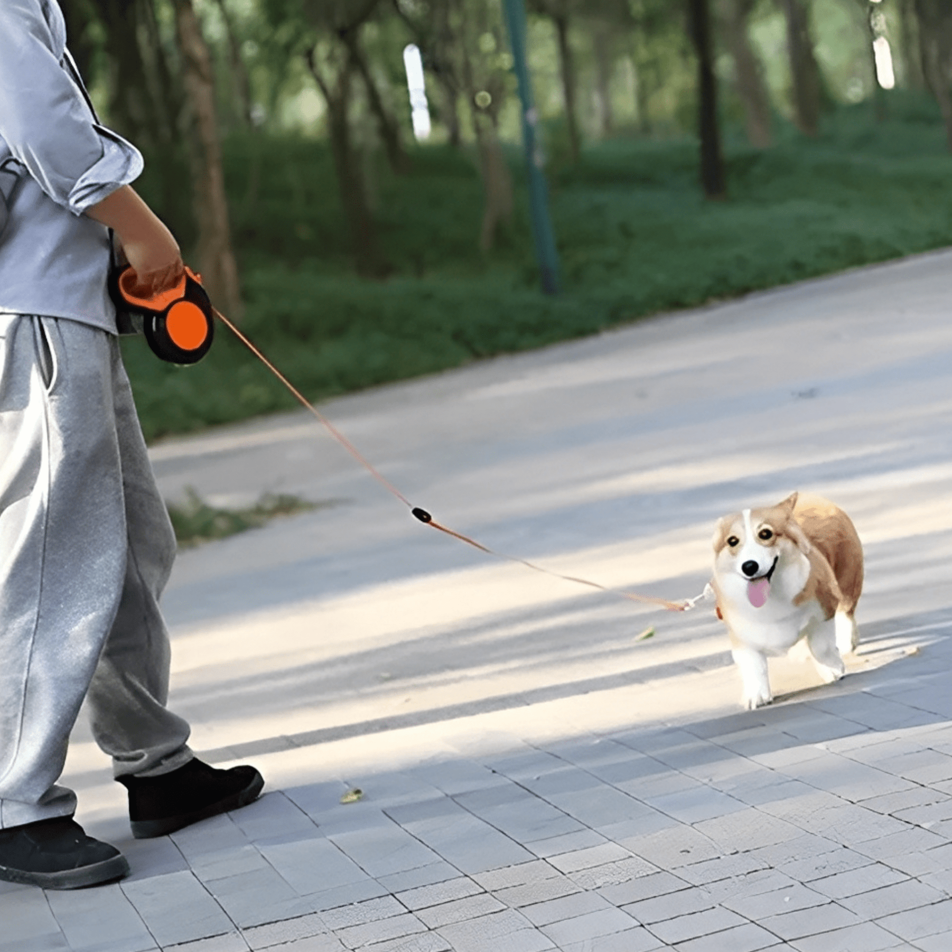ReflectaLeash - Reflecterende Intrekbare Hondenriem - Mivero