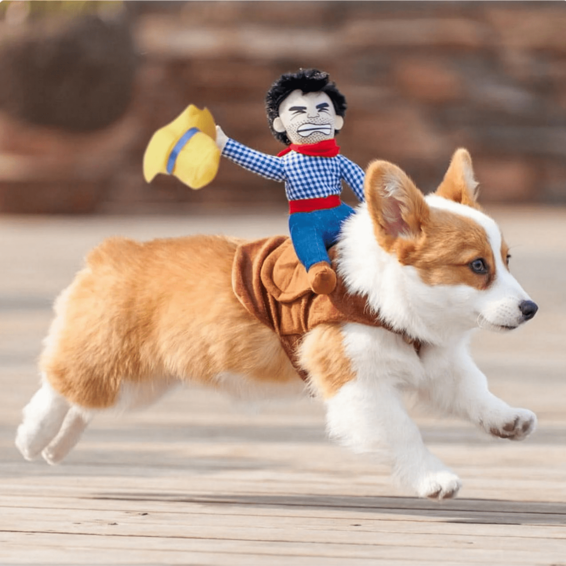 Saddlepup - Verstelbaar Cowboy Hondenkostuum - Mivero