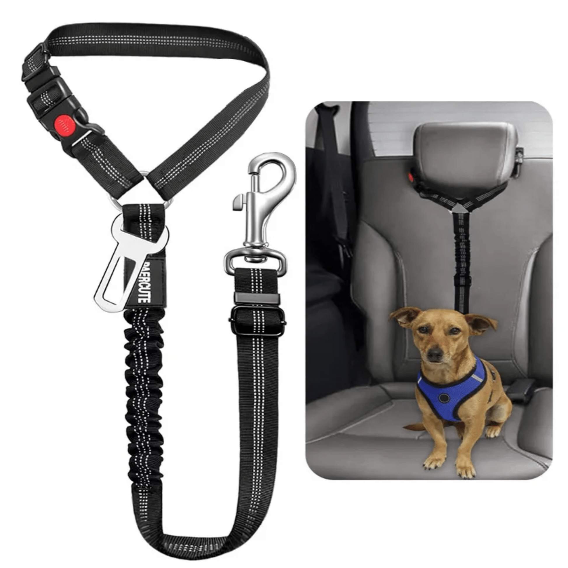 SafePaw - Verstelbare Veiligheidsgordel Hond - Mivero