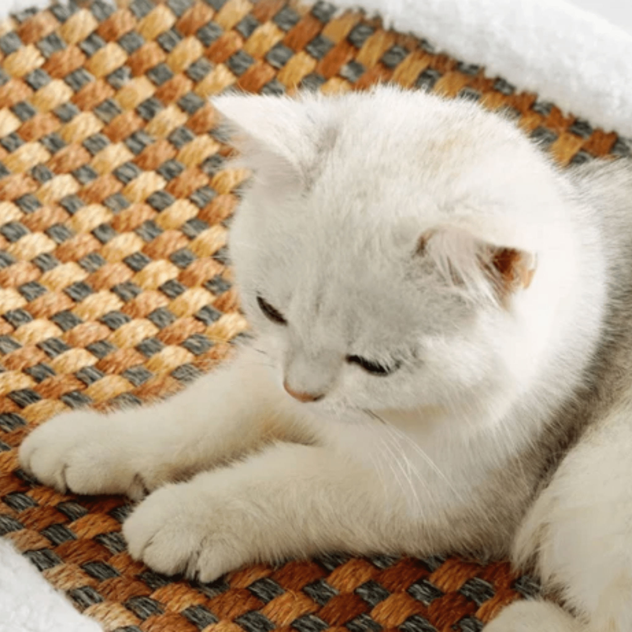 ScratchNest - Ruimtebesparend Krabbenbed - Mivero