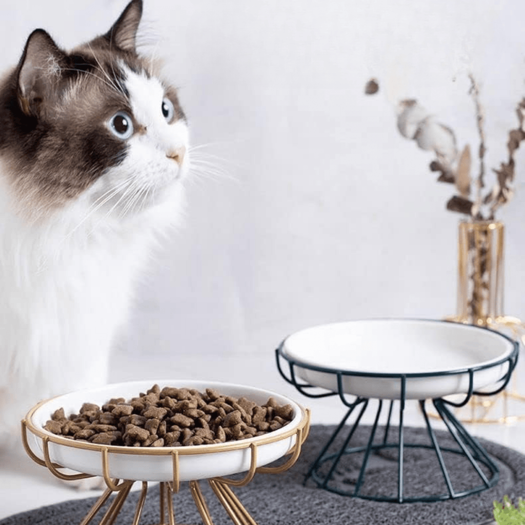 SereniBowl - Keramische Verhoogde Kattenvoerbak - Mivero