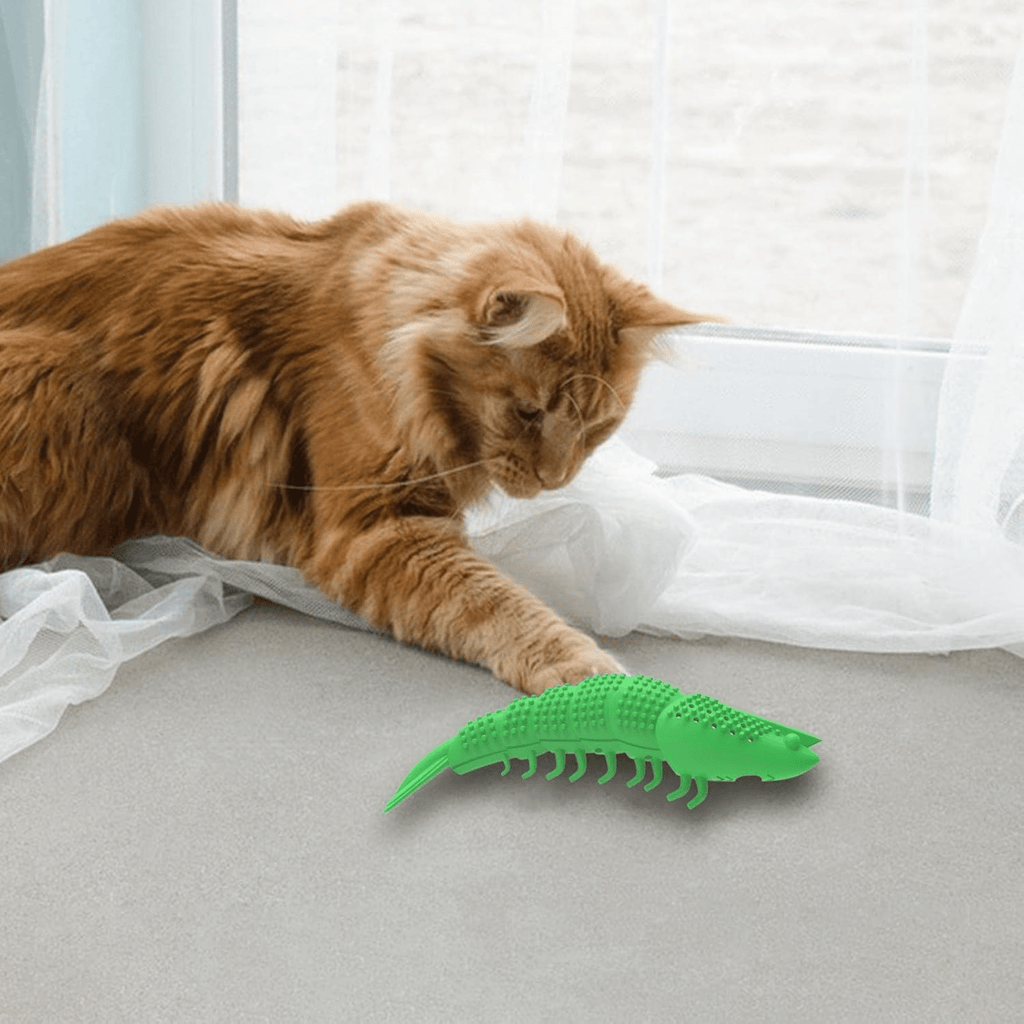 Shrimpure - Reinigend Kattenkauwspeeltje - Mivero