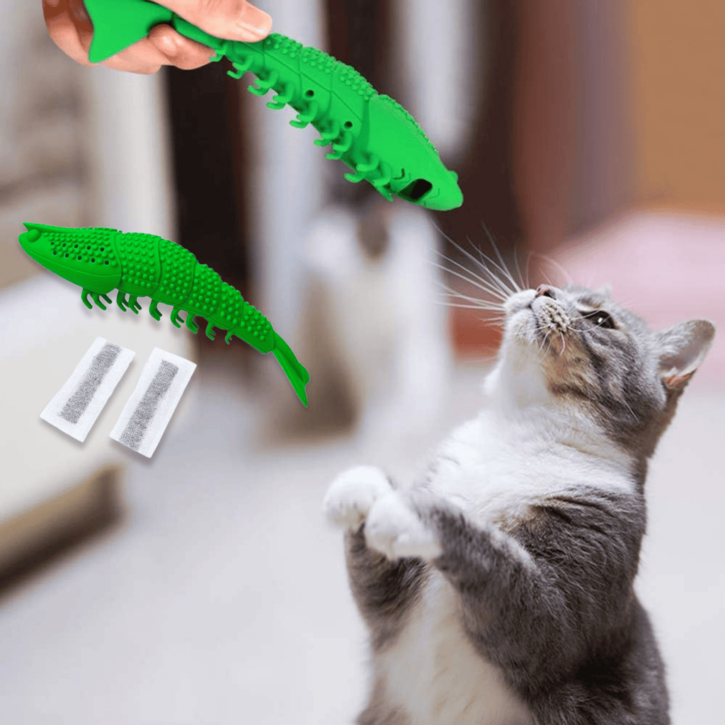 Shrimpure - Reinigend Kattenkauwspeeltje - Mivero