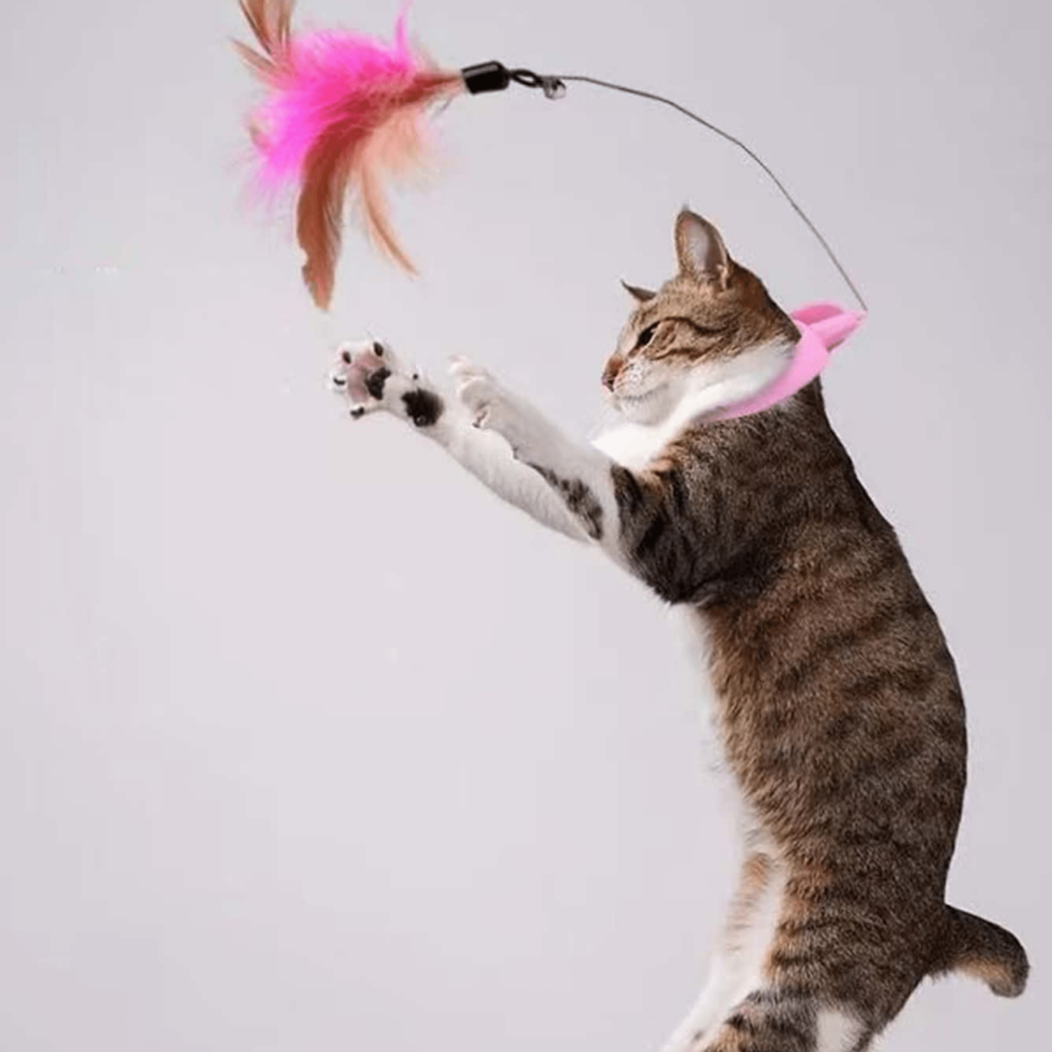 Silipet - Interactieve Veer Kattenstok - Mivero