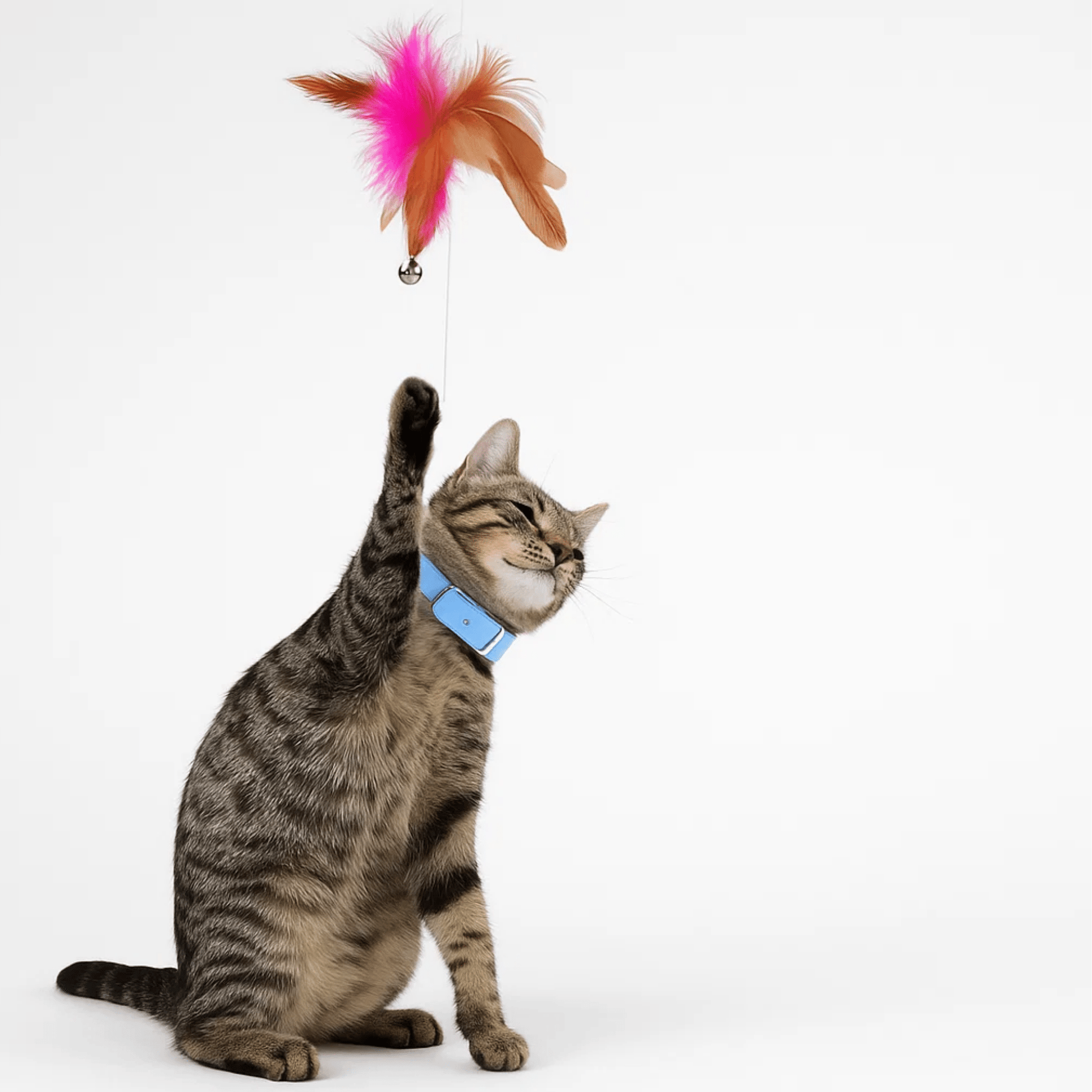 Silipet - Interactieve Veer Kattenstok - Mivero