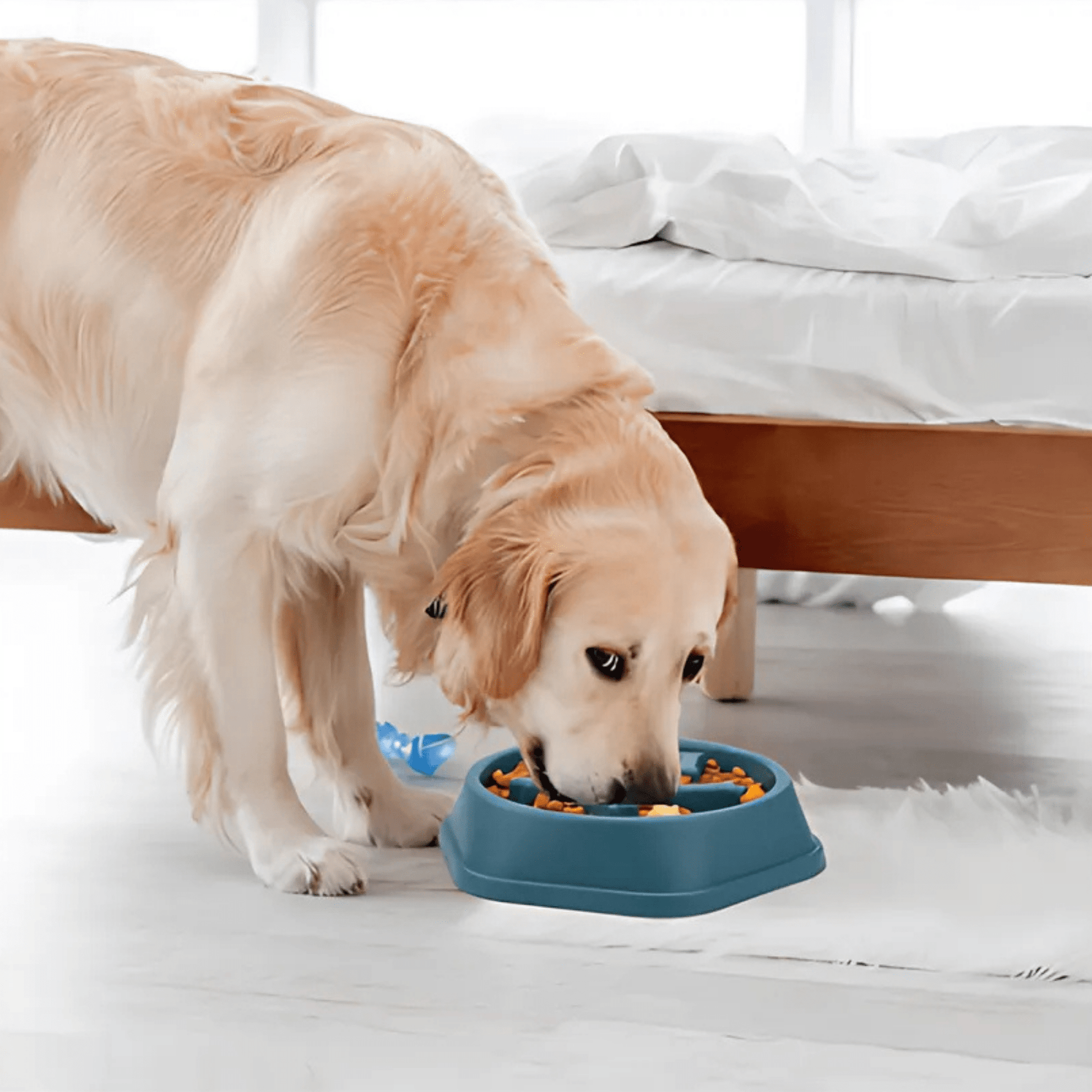 SlowBowl - Ergonomische Anti - Schrok Voerbak - Mivero