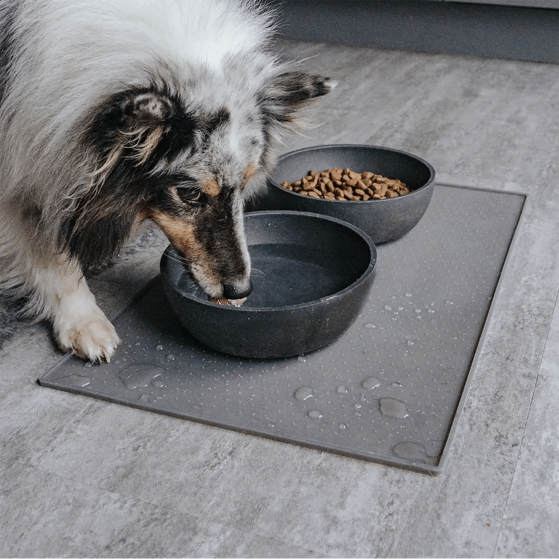 SnaccMat - Waterdichte Vaatwasserbestendige Voermat - Mivero