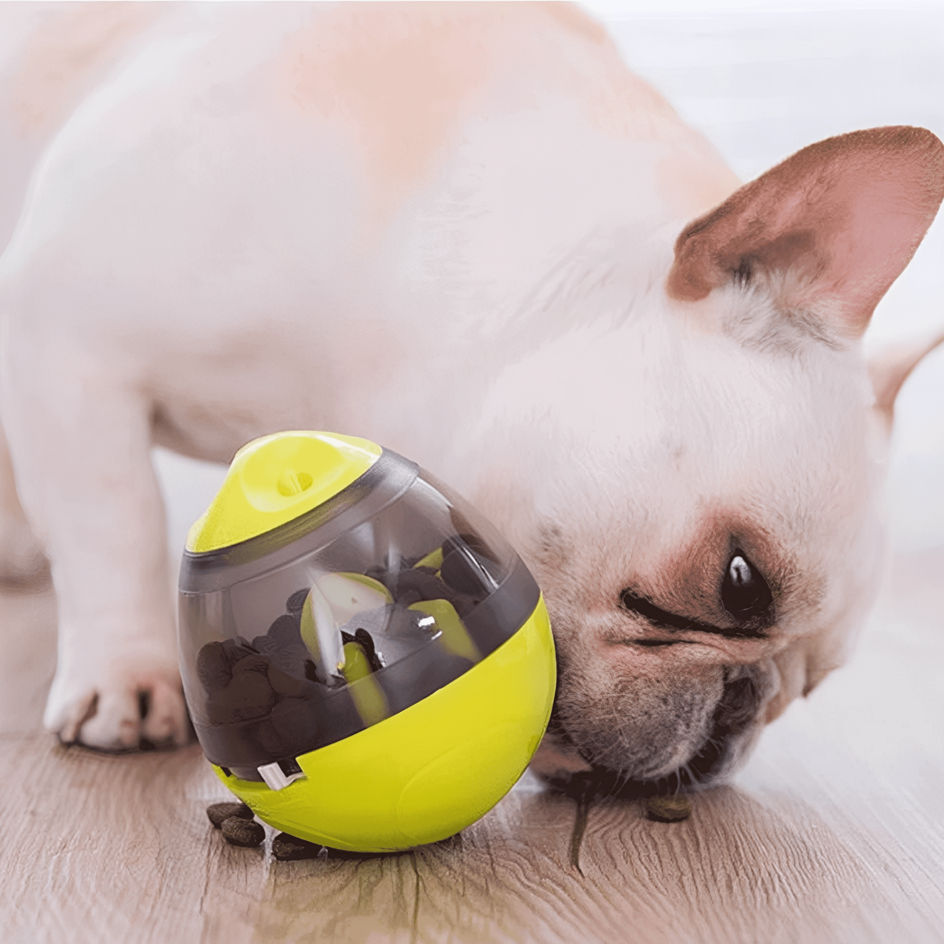Snackle - Interactieve Voerdispenser Hondenspeeltje - Mivero