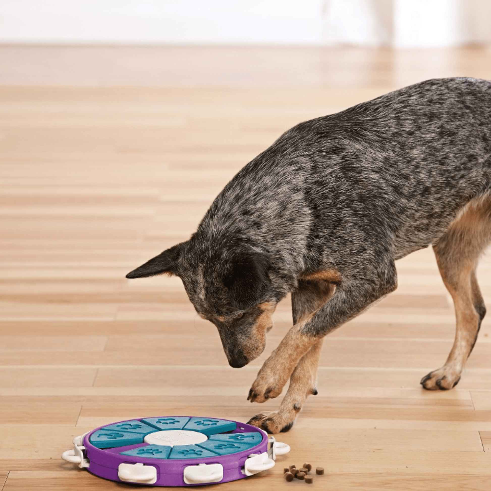 SnackMaze - Interactieve Vergrendelbare Hondenspeelgoed - Mivero