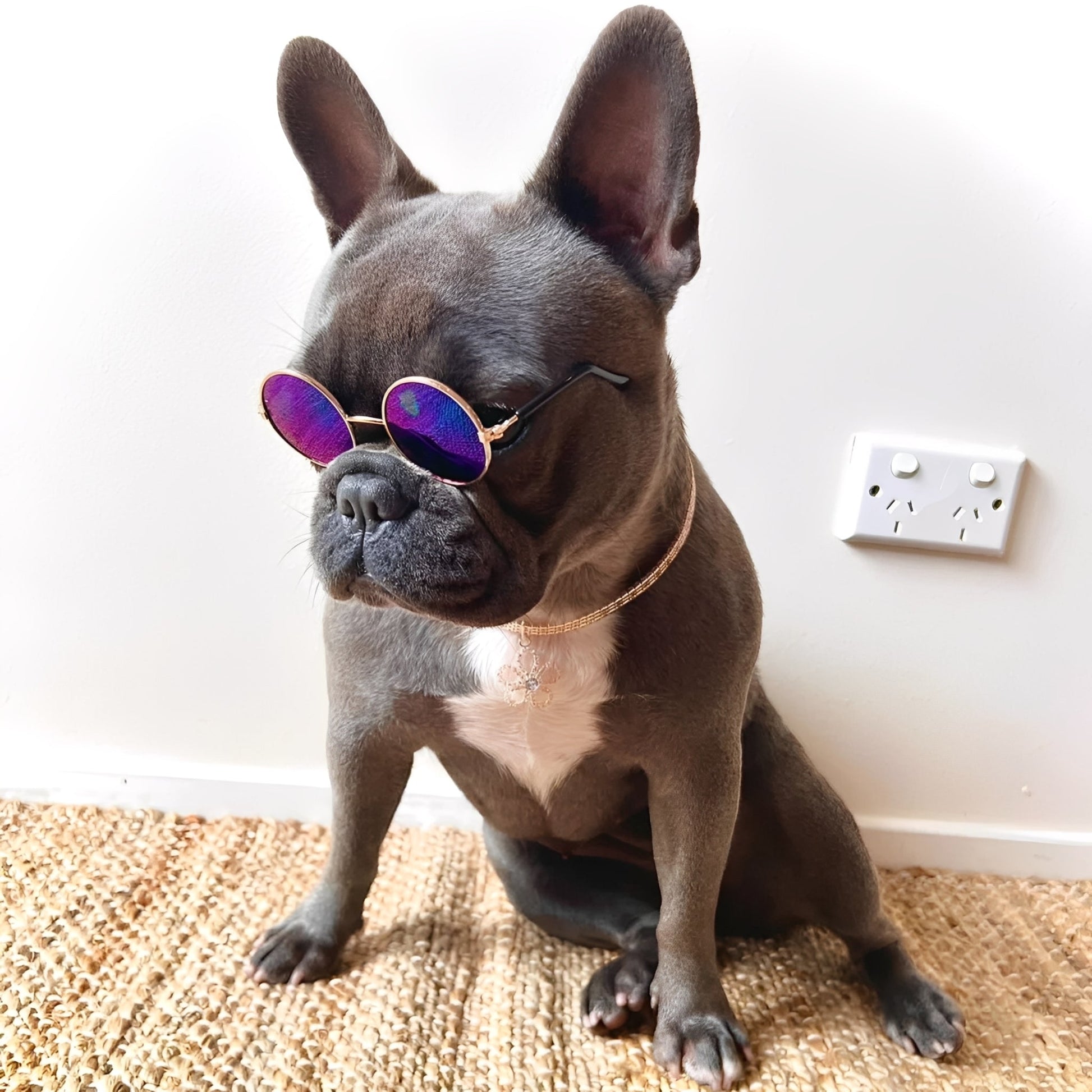 SnootShades - UV - Beschermende Modieuze Hondenbril - Mivero