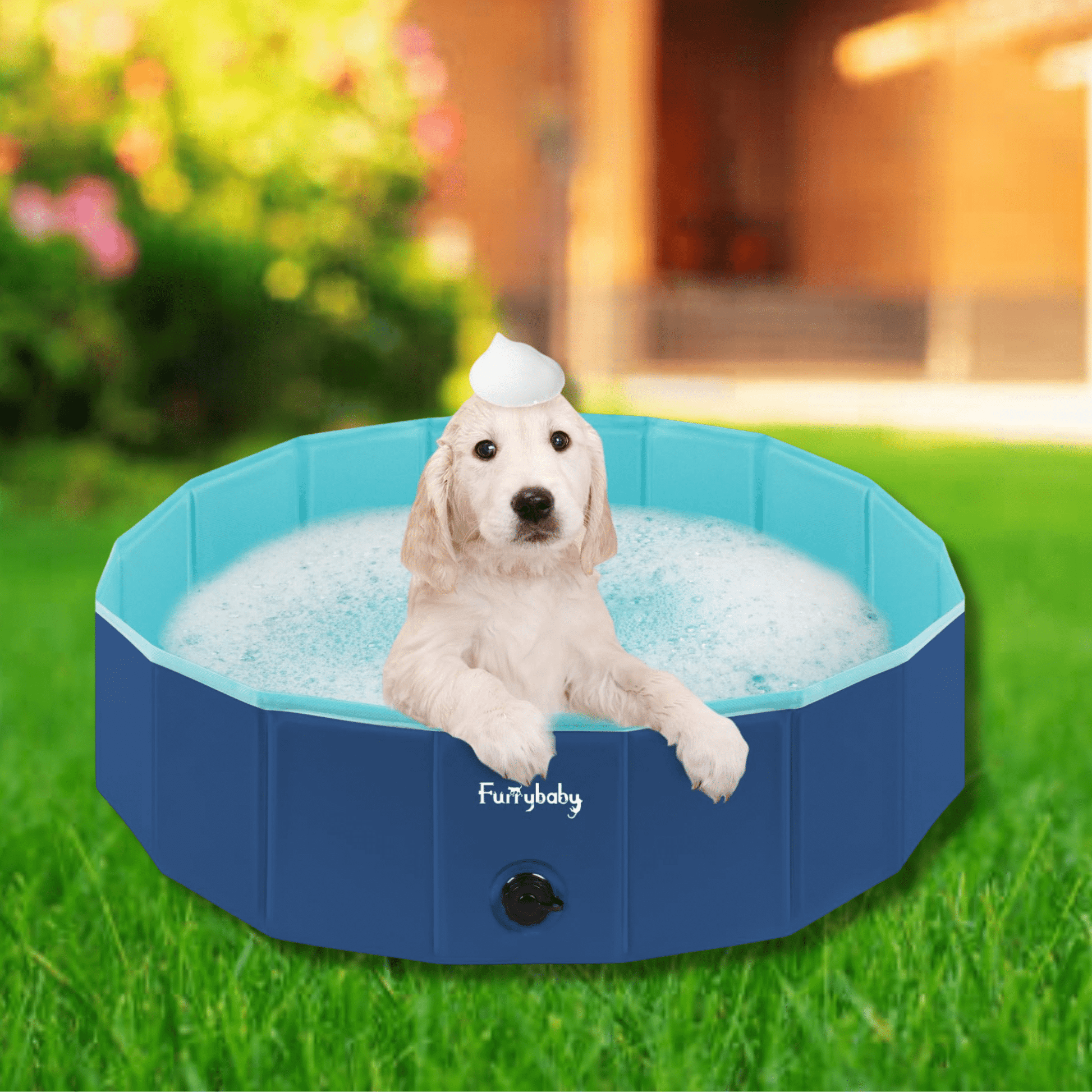 Snuffpool - Opvouwbaar Hondenzwembad Hardplastic - Mivero