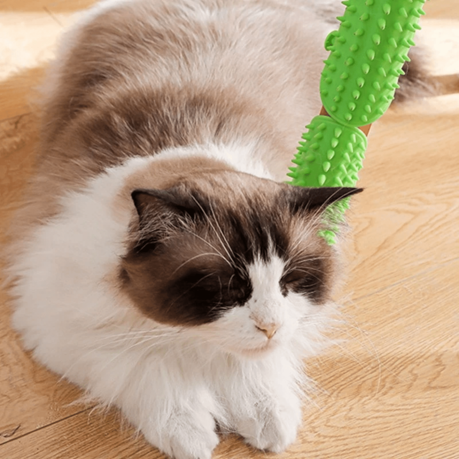 SnugComb - Zelfborstelende Kattenhoekborstel - Mivero