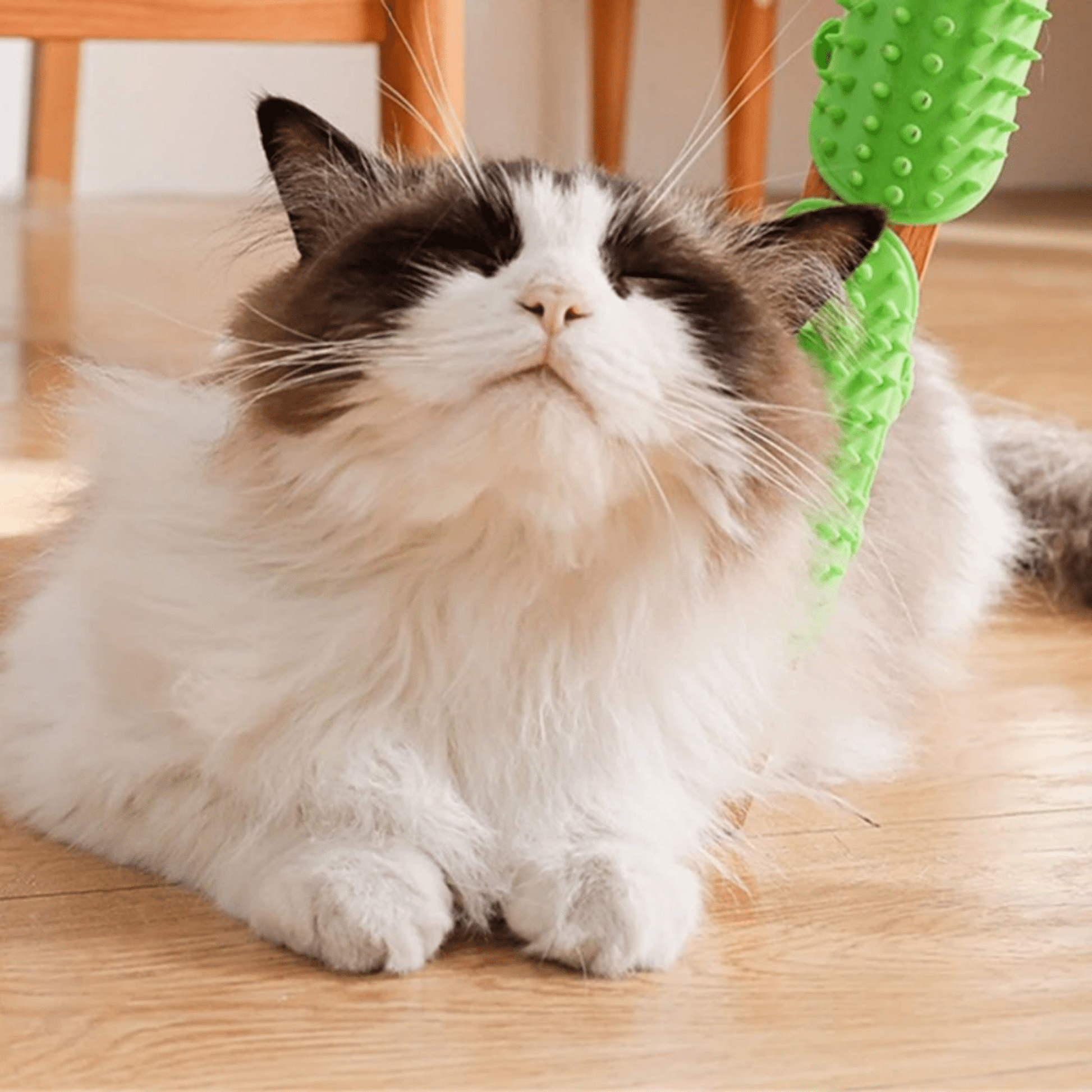 SnugComb - Zelfborstelende Kattenhoekborstel - Mivero