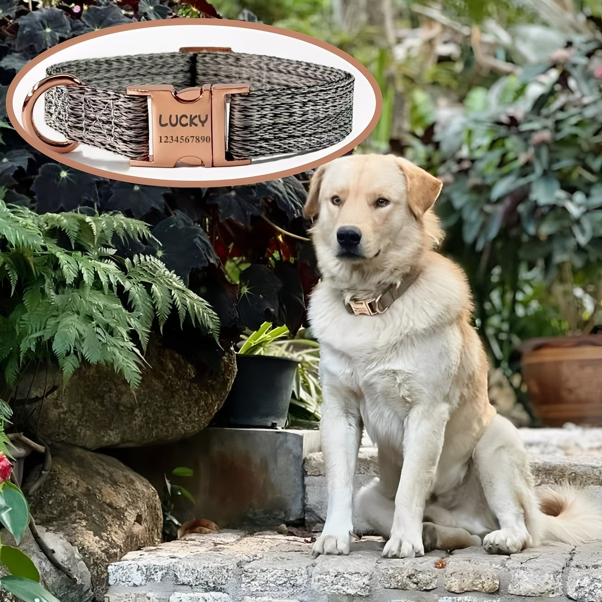 Snuggleband - Zachte Tweed Hondenhalsband - Mivero