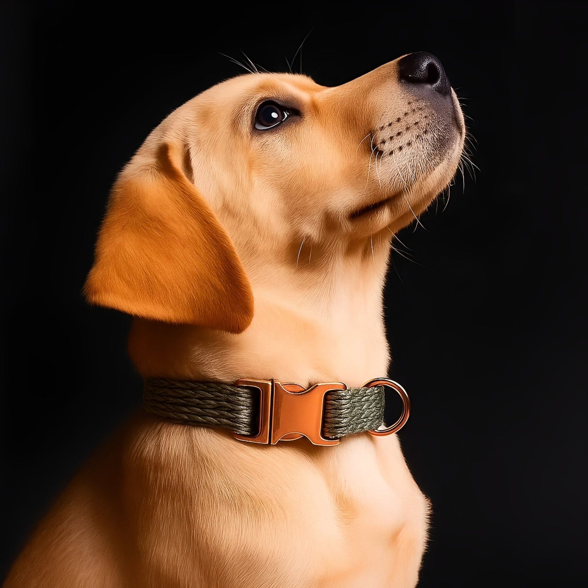 Snuggleband - Zachte Tweed Hondenhalsband - Mivero