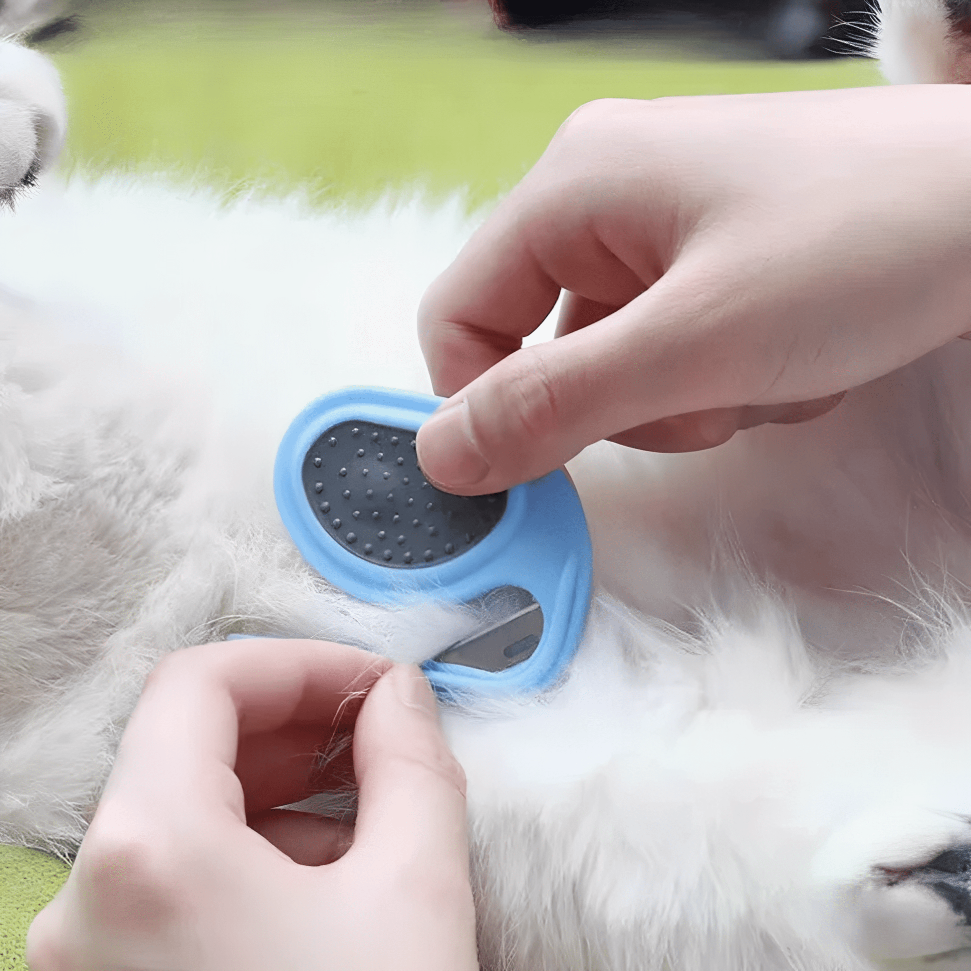 Snugglecomb - Veilig Klittenmes Huisdier - Mivero