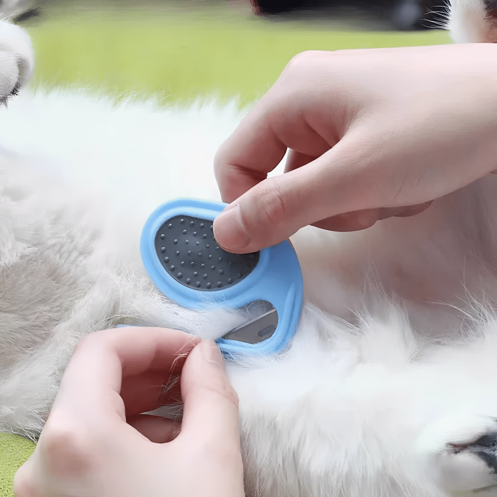 Snugglecomb - Veilig Klittenmes Huisdier - Mivero