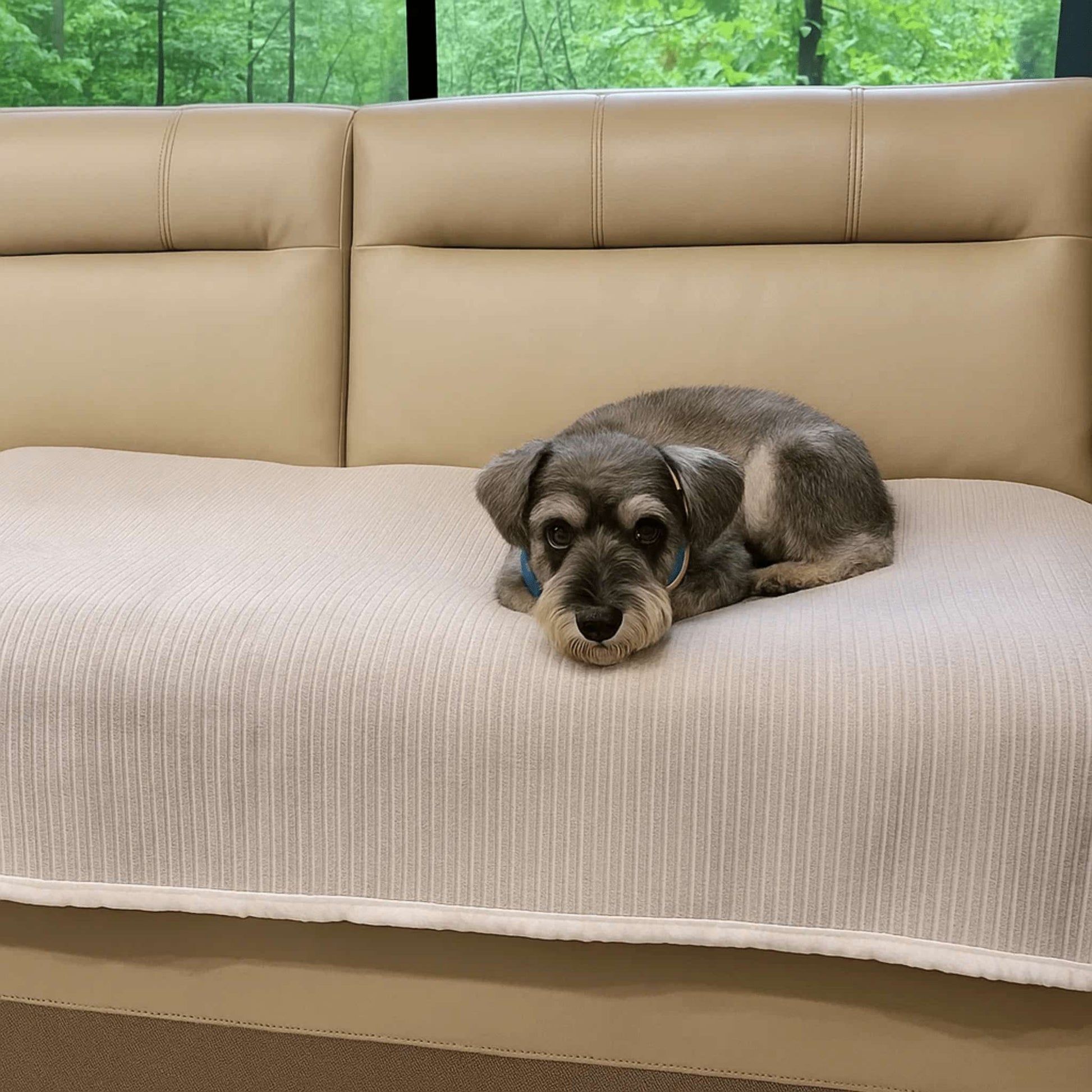 StayCover - Antislip Beschermende Bankhoes