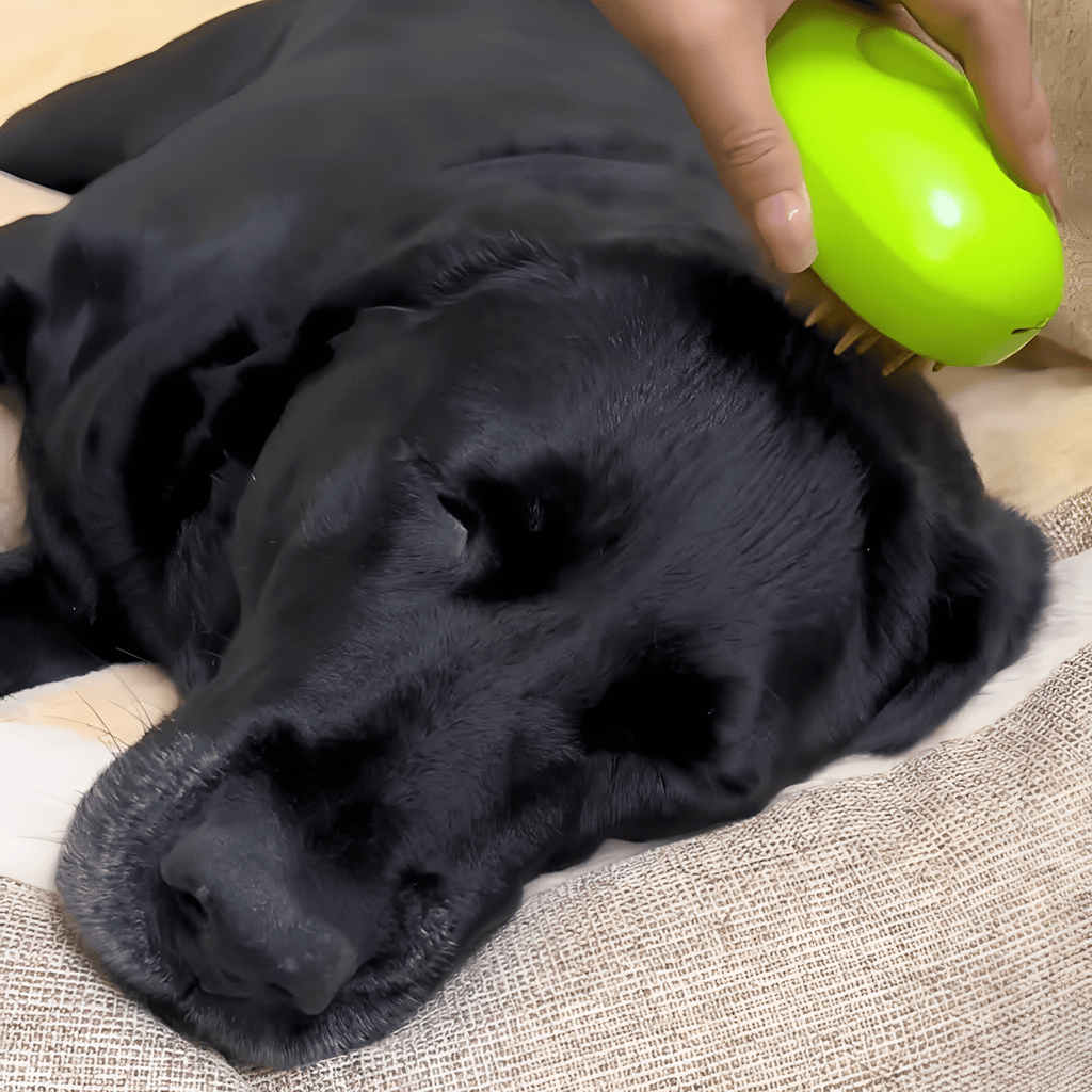 SteamBrush - Heeft jouw hond last van haaruitval? - Mivero