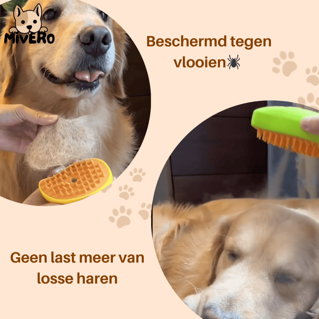 SteamBrush - Heeft jouw hond last van haaruitval? - Mivero