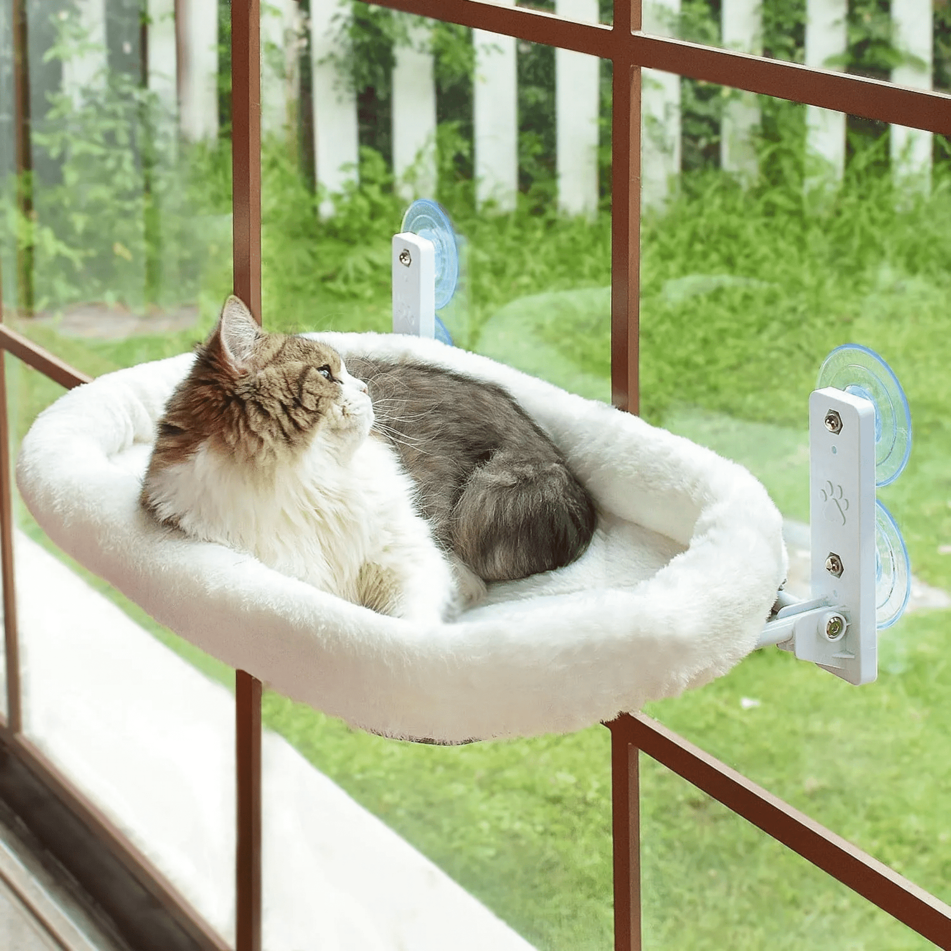 Sunva - Katten Raamhangmat Opvouwbaar met Zuignappen - Mivero