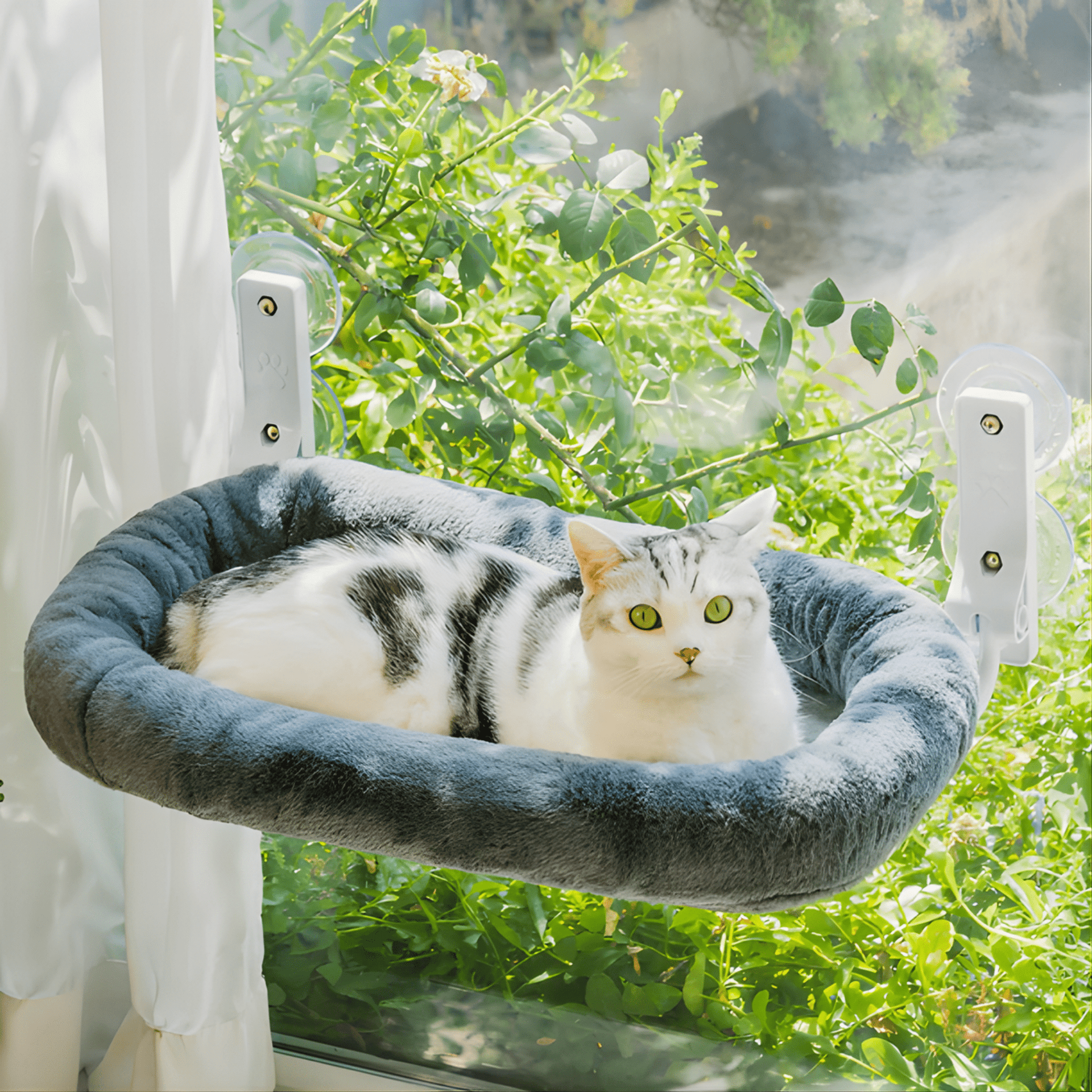 Sunva - Katten Raamhangmat Opvouwbaar met Zuignappen - Mivero