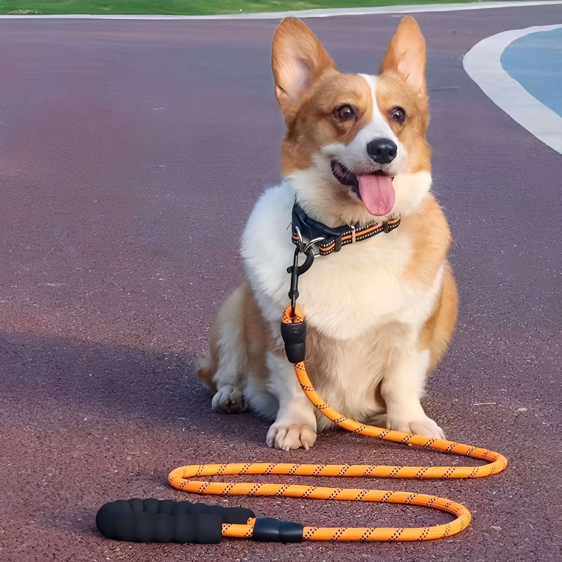 SureLoop - Hondenriem Touw Reflecterend Foam Handvat - Mivero