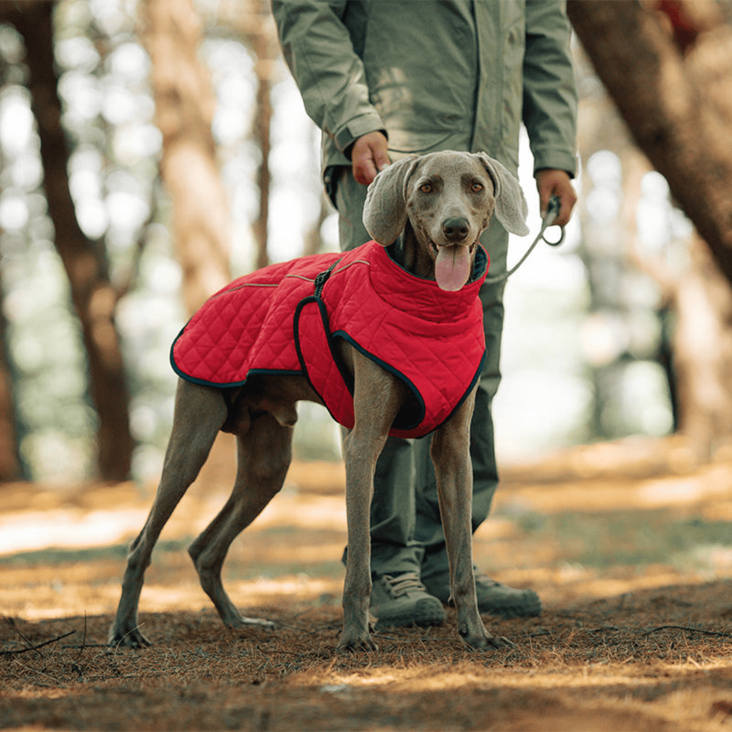 thermutt - fleecevoering honden winterjas met tuigopening - mivero