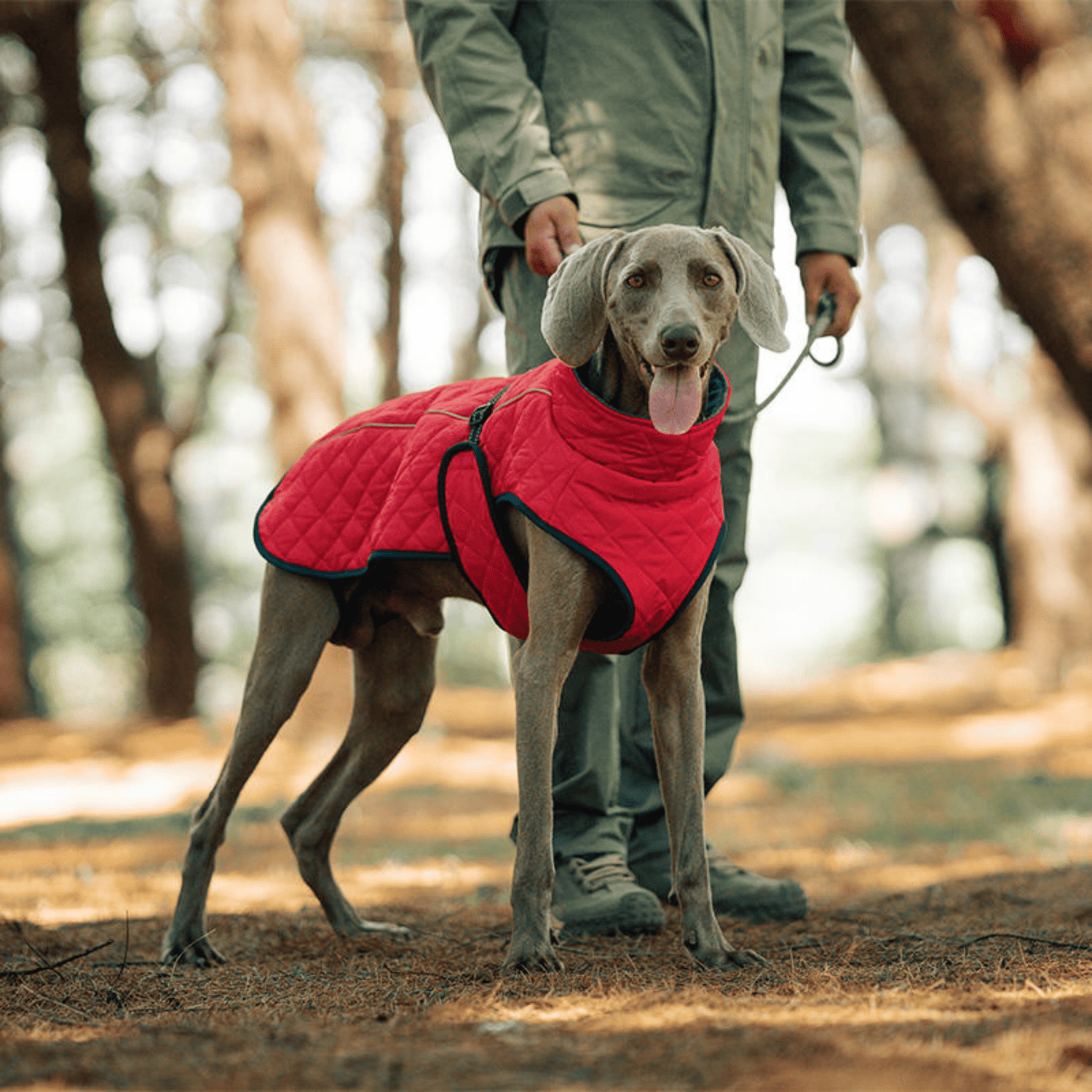 Thermutt - Fleecevoering Honden Winterjas met Tuigopening - Mivero