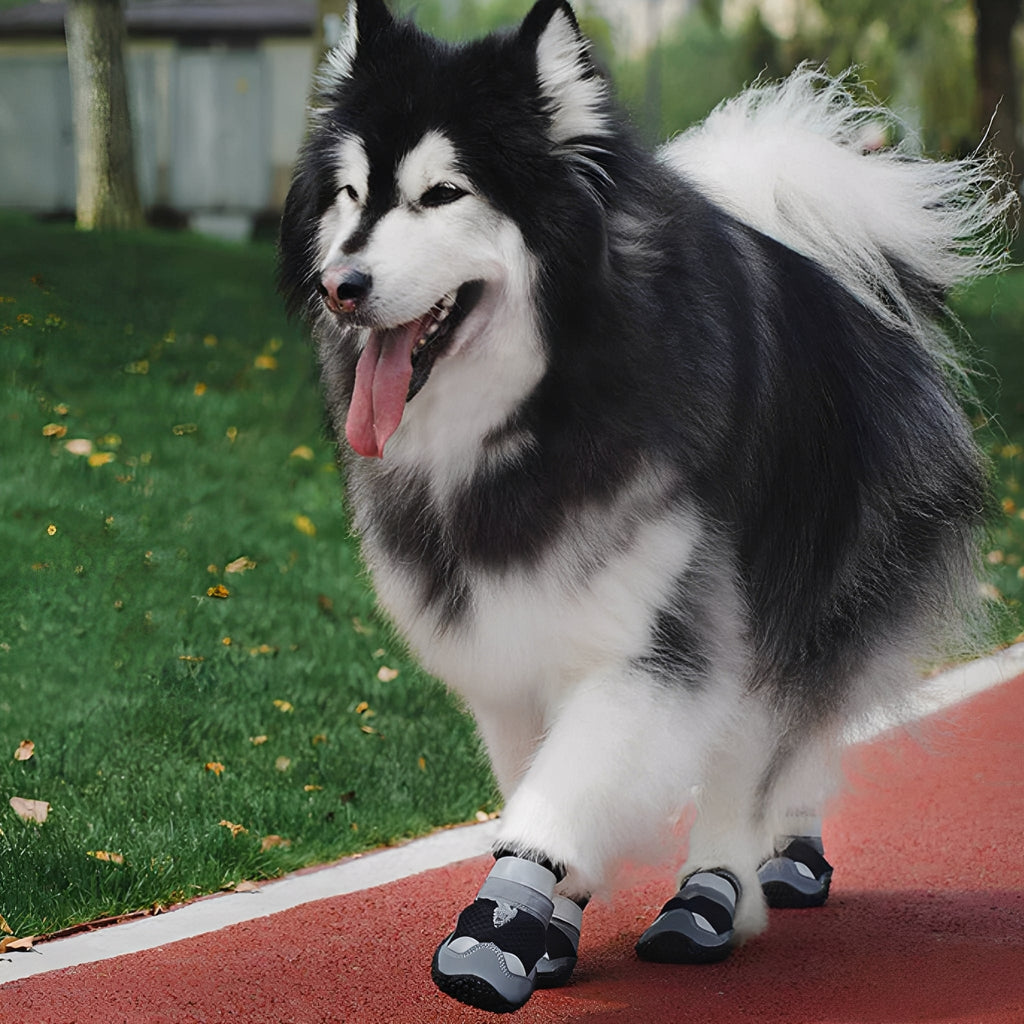 TrailPaws - Beschermende Antislip Hondenschoenen - Mivero