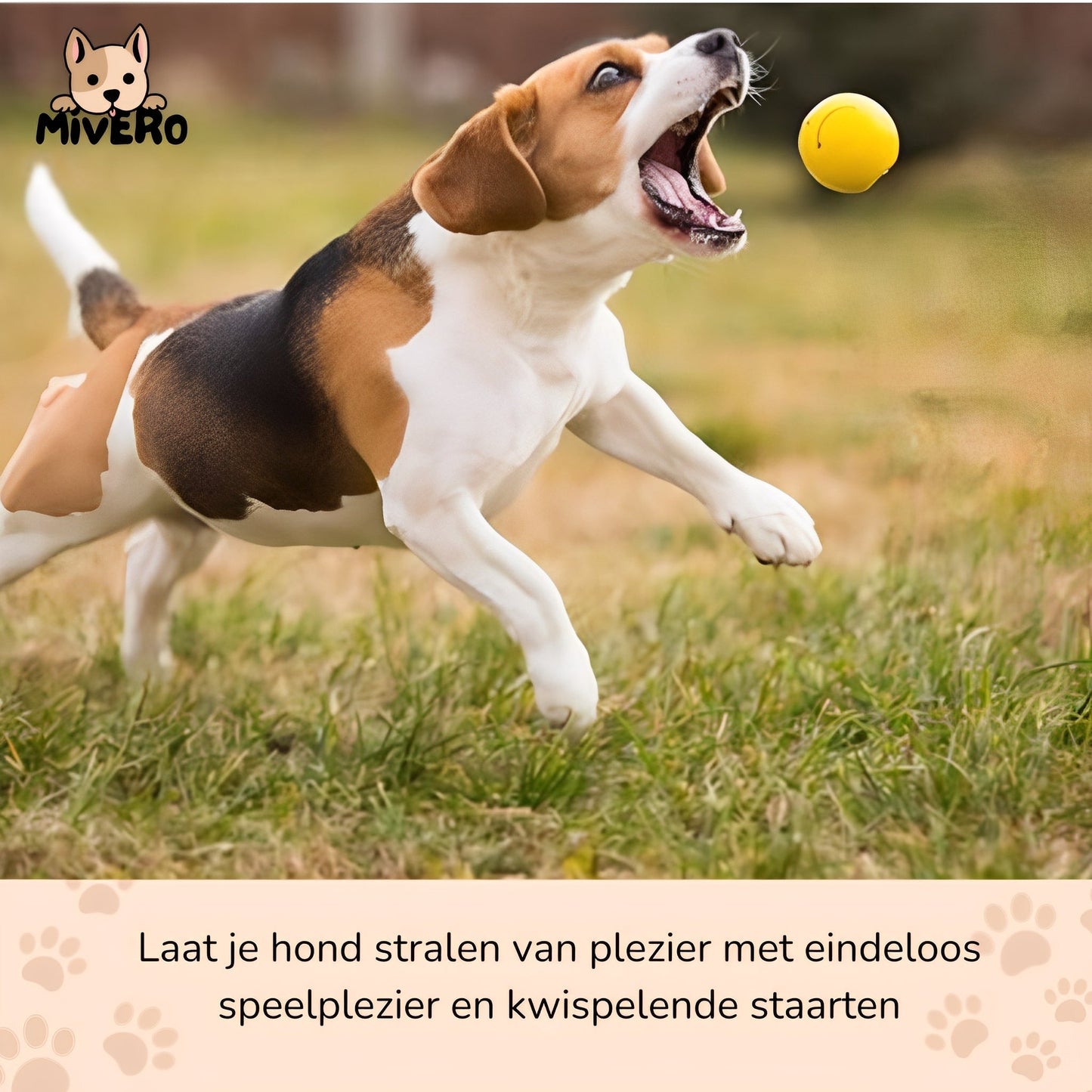 tufffetch - drijvende kauwbestendige hondenbal - mivero