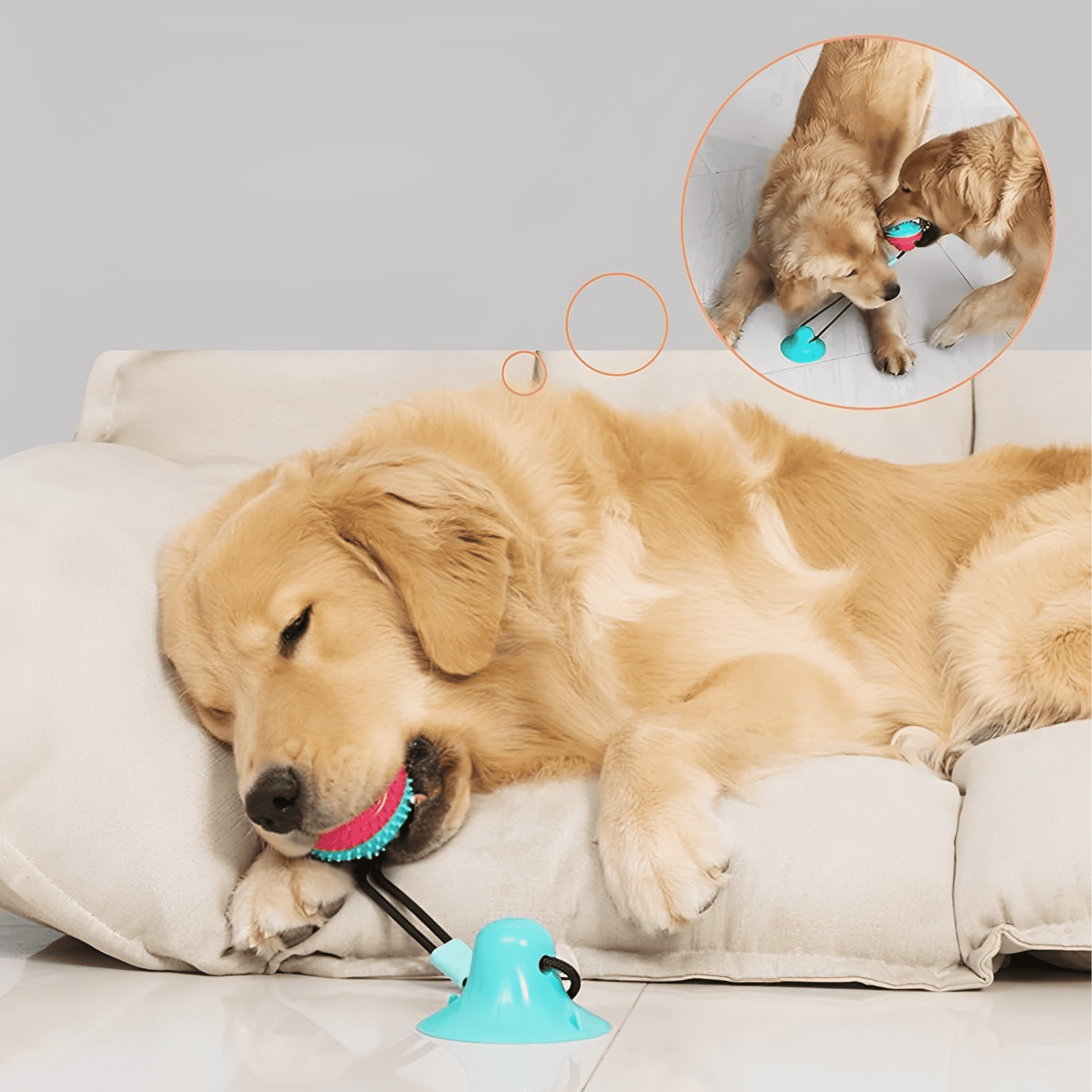 tugmax - interactief tug hondspeeltje - mivero