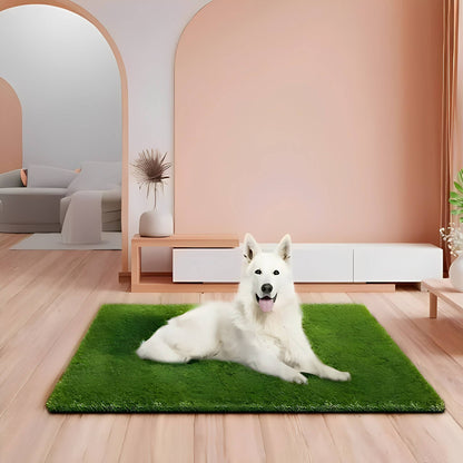 Zenvana - Grasachtige Toiletmat Huisdieren - Mivero