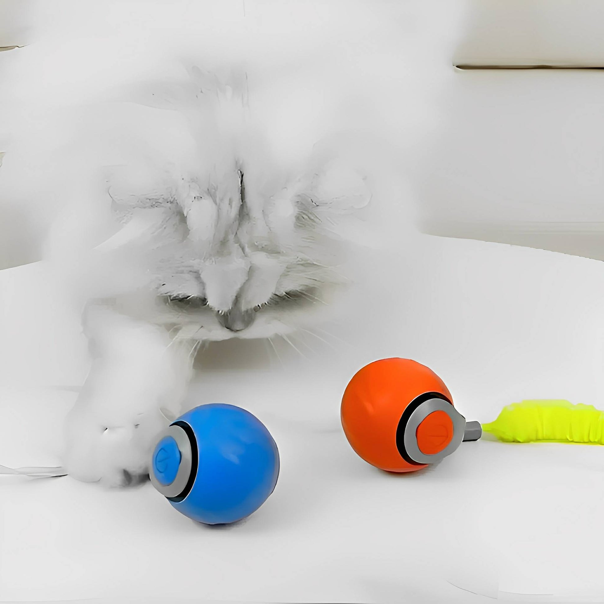 Dynamische speelbal voor de kat (4 cm) |Oplaadbaar Dynamische speelbal voor de kat (4 cm) |Oplaadbaar