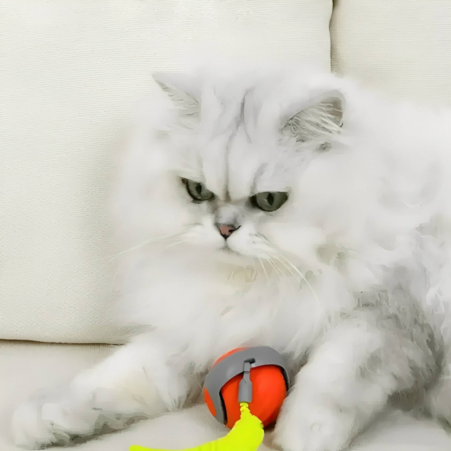 zoomball 2.0 - houdt katten actief en speels - mivero